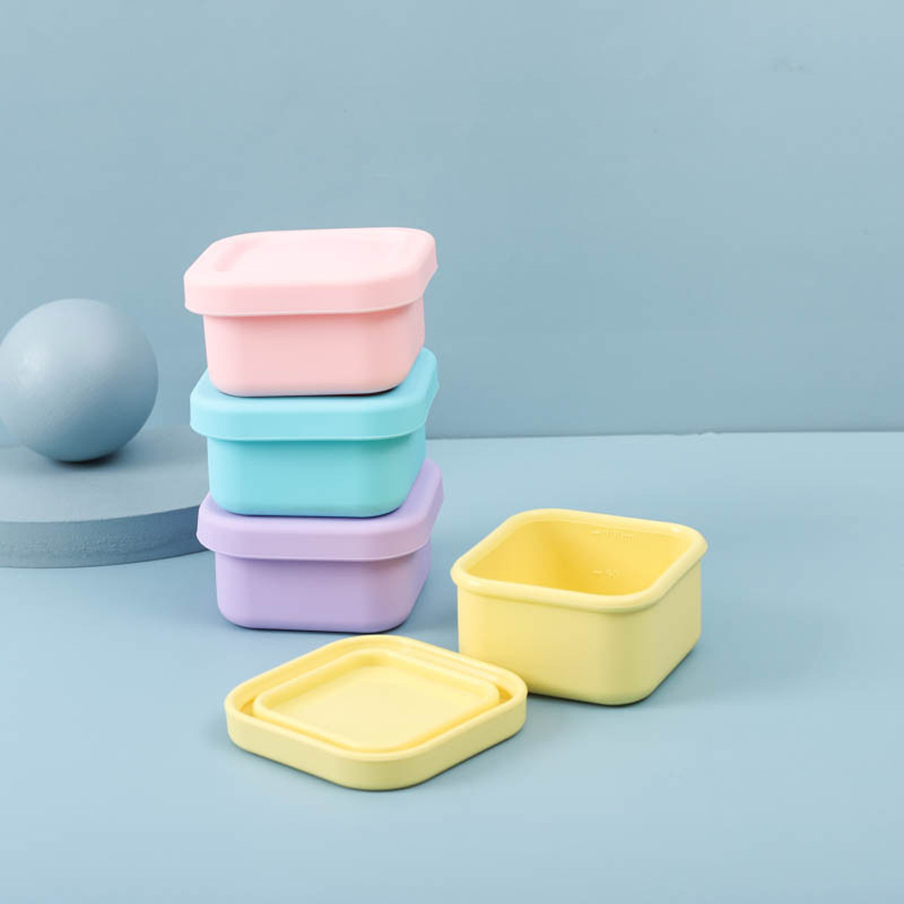 Sealed Silicone Lunch Box for  - Food Snacks For Kids review and price