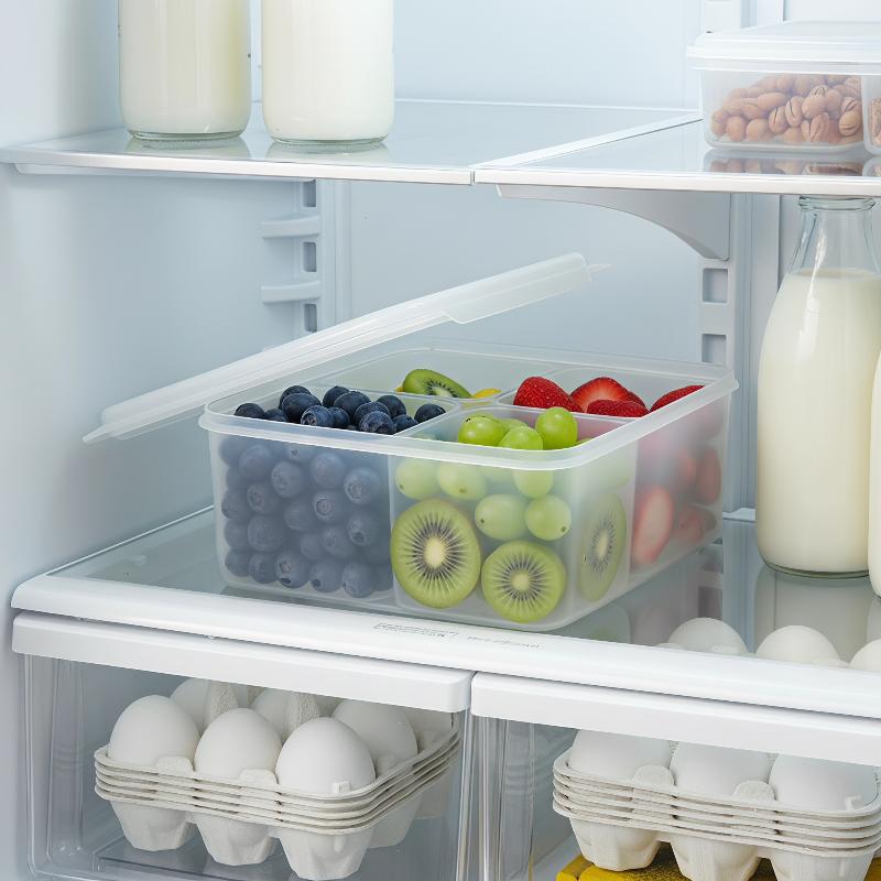4 In 1 Refrigerator Crisper Bo - Food Prep Snacks review and price